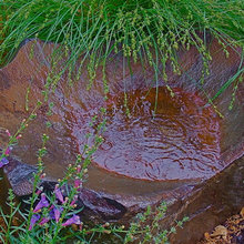 bird bath/fountain