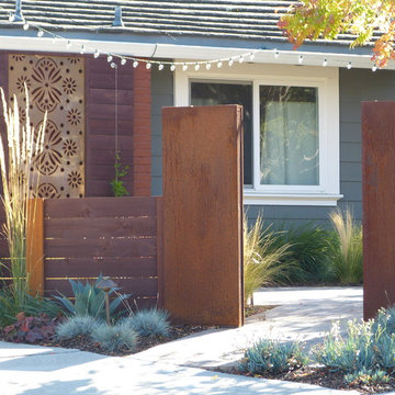 Contemporary Front Yard