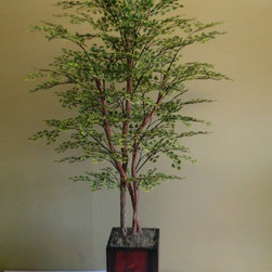 5' Maidenhair Fern Tree - Area Rugs