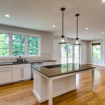 1532 N Randolph Street - The Fillmore Model