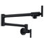 Braccia Series 24" Wall Mounted Pot Filler, Matte Black