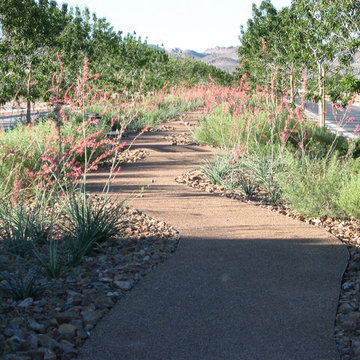 Decomposed Granite Path