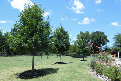 This is an example of a country garden in Dallas.