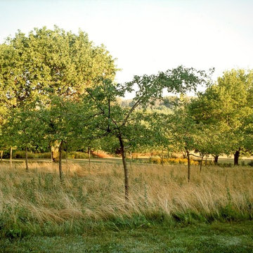 Deer Resistant Landscapes