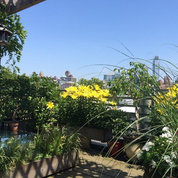Boerum Hill - Rooftop Garden