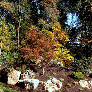 Pond Marvel