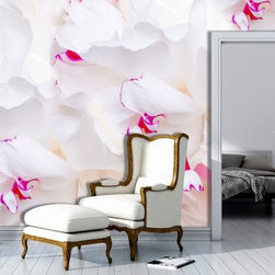 Prime Walls - Wallpaper - Products