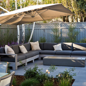 San Jose Modern
