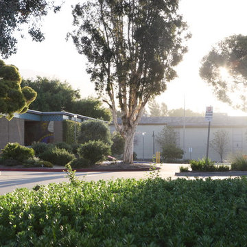 Australia, Chile, and Mediterranean Native Gardens, (Drought Tolerant) Gardens o