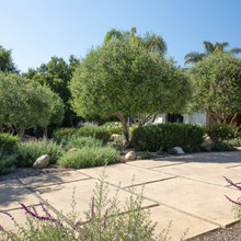 R yard