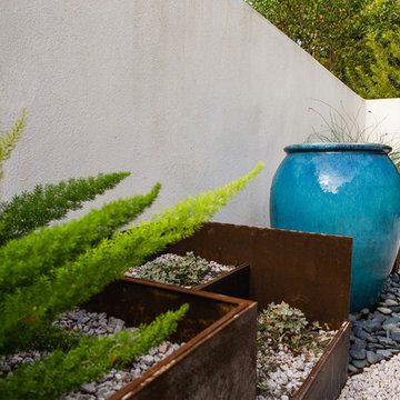 Rosedale Modern Courtyard