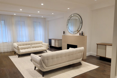 Example of a minimalist living room design in New York