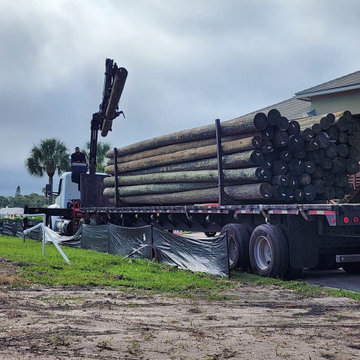 Tarpon Springs Project 2024/2025