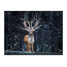 Banner Elk