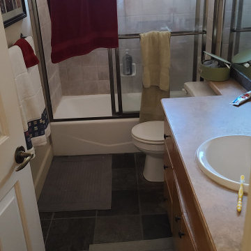 Before guest bath