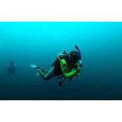 Fareed Ismail's photo