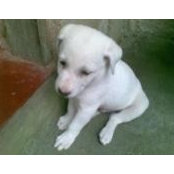 Foto de Miguel Jr. Naz
