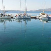 Florence Quemeneur's photo