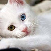 Zehra Filiz's photo
