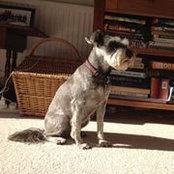 Jenny Coomber's photo