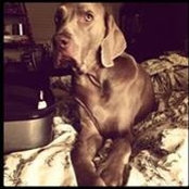 Rachelle King's photo