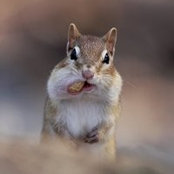 Mogedy Schwartz's photo