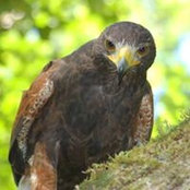 Eva Terry's photo