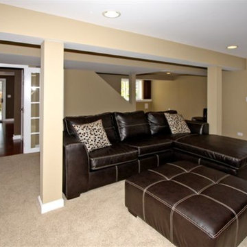 Carol Stream Basement Remodeling
