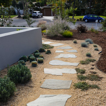 Modern Desert Style: a Water-Wise Front Yard Patio & Garden
