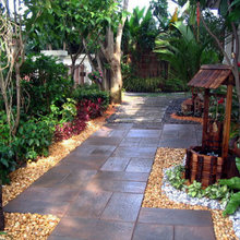 Back Garden