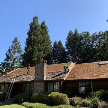 Heavy wood shakes Danville -Removal in process