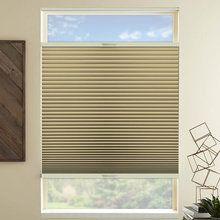 David's ideas