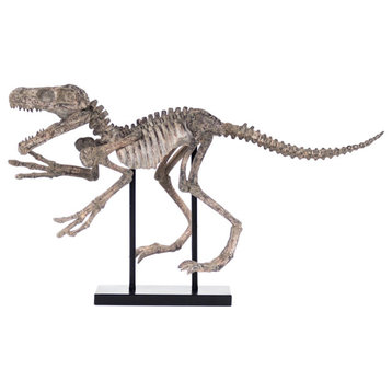 Velociraptor Skeleton With Base
