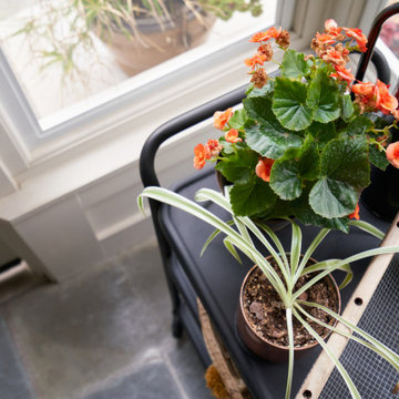 Bug-Free Bliss