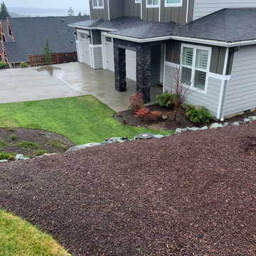Modern Front Yard Garden