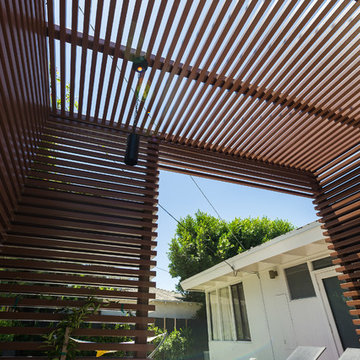 Trellis Area - Ceiling View