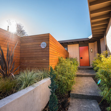 Mid Century Modern Remodel