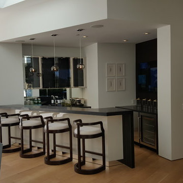 Modern Kitchen in Beverly Hills, CA