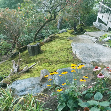Moss -- Erosion Control Solution for Steep Hillsides