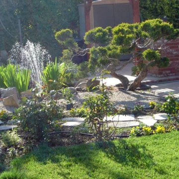 My Projects