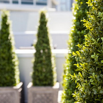 Artificial Boxwood Topiary Patio Decor