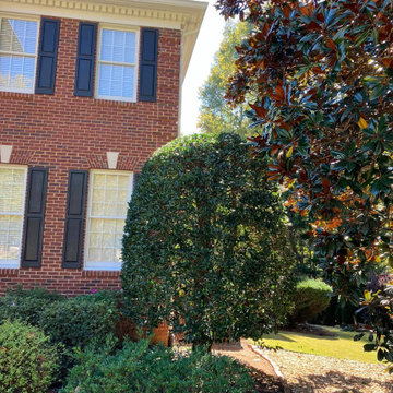 Landscape and Outdoor Property Improvement