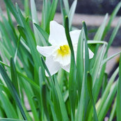 Gayle Deddo's photo