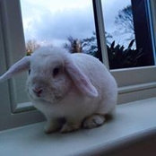 Susan Hegarty's photo
