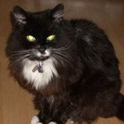 Sue Lynock's photo