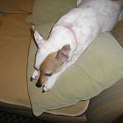 Gerri Hudeck's photo