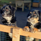 Gráinne Brannigan's photo