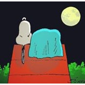 Rosella Lopez's photo