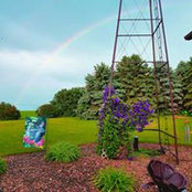 Cindy Schmit's photo