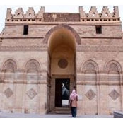 آلاء الفقي's photo